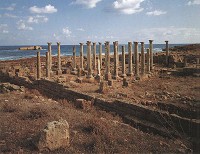 basiliek