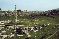 resten