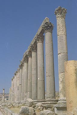 cardo
