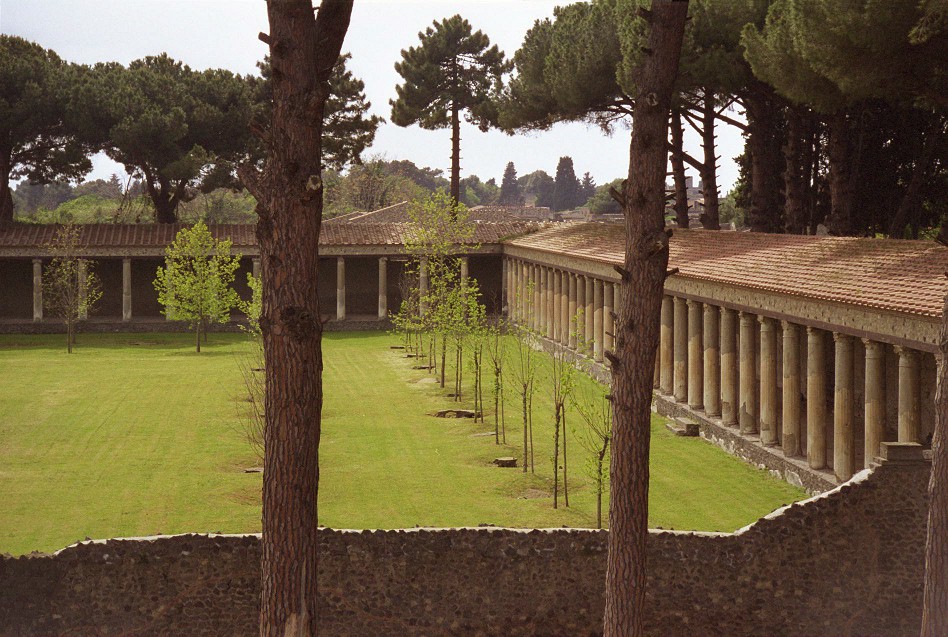 palaestra