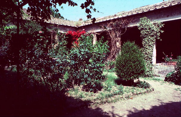 palaestra