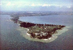 landtong