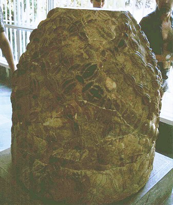 omphalos