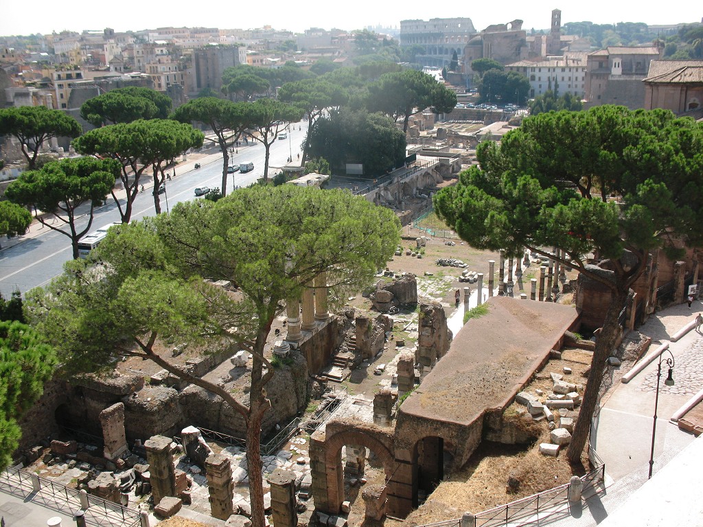 forum iulium